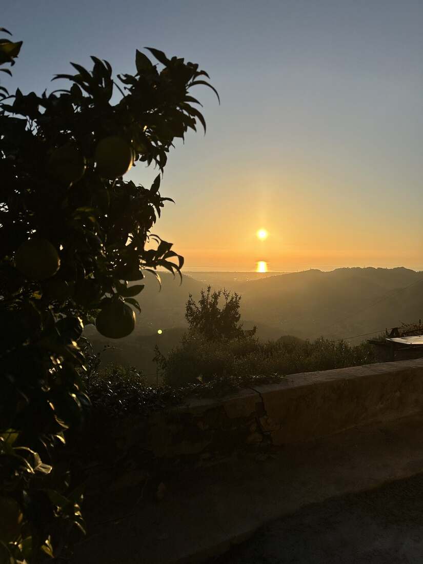 Lemon tree with a view over the hills